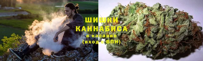 omg ONION  что такое   Оса  Канабис White Widow 